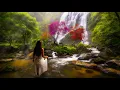 Download Lagu Muziek van de natuur! Deze zachte melodie heeft alles om te ontspannen, denken alleen aan het mooie!