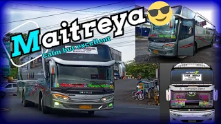 lagu dj dont watch me cry remix versi cinematik bus maitreya 367 bus artis 