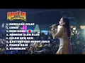 Download Lagu Elsa Safira- Adella Terbaru 2019