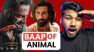animal ka baap marco marco movie review saini motivation fact