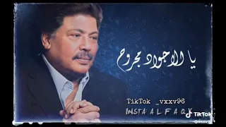 ميدلي ابو بكر سالم 