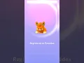 Catching NEW HUNDO Pokemon Pawmi in Pokemon Go New Pokemon HUNDO Pawmi