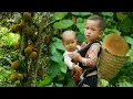 Single Mother: Harvesting Giant Jackfruit to Sell at the Market - Cooking with Her Young Son