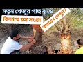 Lagu নতুন খেজুর গাছের রস ২০২৪।নতুন খেজুর গাছ কিভাবে কাটে দখুন।খেজুর গাছের রস কাটা #KhejurerRoshখেজুরের রস
