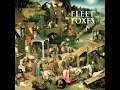 White Winter Hymnal - Fleet Foxes