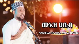 NEWሙአዝ ሀቢብ MUAZ HABIIB RABBII SALLI MuazHabibofficial MENZUMA Ethiopia 2025 Ishqijimmaofficial 