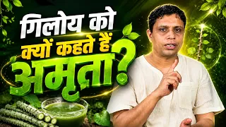 गिलोय के ये अद्भुत फायदे! पुरानी समस्याओं से त्वचा तक