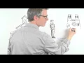 The Story of ASL
