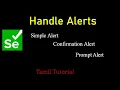 How to Handle Alerts in Selenium Selenium tutorial in Tamil Selenium Java