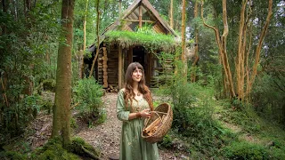 life in a tiny cabin in the patagonian rainforest