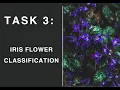 TASK 3 Iris Flower Classification CodSoft