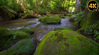 Real video 4K in the most beautiful Kulen mountain, relaxing water sound for sleep, Meditation, Yoga