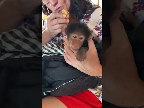 Living with baby Zara was such a dream π₯° #animals #animalshorts #cute #wildlife