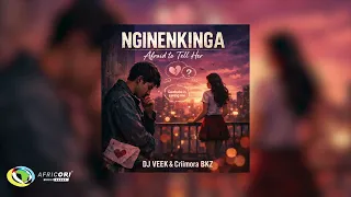 dj veek u0026 criimora b k z nginenkinga official audio 