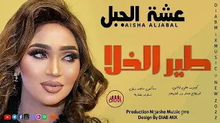 جديد عشة الجبل علي تباشي طير الخلا اغاني سودانية 2022 