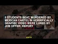 5 students killed by Mexico Kartel on a terrible graph were defeated wit rew with a job offer Repo