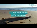 13 Best Beaches in Texas