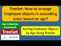 Java TreeSet How to arrange Employee objects in ascending order based on age