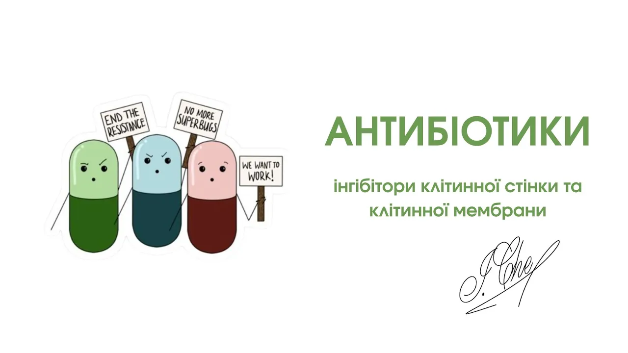 АНТИБІОТИКИ ПЕНІЦИЛІНИ ЦЕФАЛОСПОРИНИ ВАНКОМІЦИН