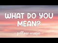 Download Lagu What Do You Mean? - Justin Bieber (Lyrics) 🎵