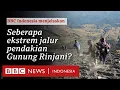 Download Lagu Gunung Rinjani: Siapa saja yang bertanggung jawab atas keselamatan para pendaki?