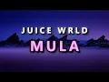 Lagu Juice WRLD - Mula (Unreleased) (Lyrics)