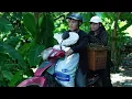 Download Lagu Een overvloedig fruitseizoen: Pao en Ha oogsten met plezier de eerste longan