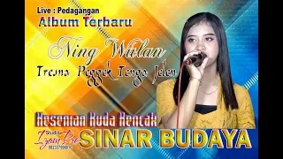 Download Full DJ MELLER | Tresna Peggek Tenga Jelen | Music Official | Sinar budaya MP3