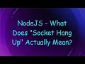 NodeJS - What Does Socket Hang Up Actually Mean