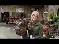 Time To Plant A Dwarf Ruby Slippers Oakleaf Hydrangea For Exceptional Blooms All Season