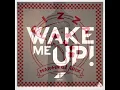 Martin Garrix - Pizza vs Avicii - Wake me up (Symphony Of Unity Tomorrowland mashup)