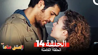 مسلسل العشق عنادا الحلقة 14 Arabic Dubbed 