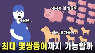사람은 최대 몇쌍둥이까지 낳을 수 있을까