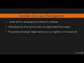 003 Expanding the GUI dynamically using widgets