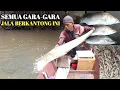 Download Lagu PERTAMA KALI PAKAI JALA BERKANTONG LANGSUNG BEGINI !!