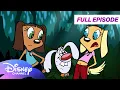 Brandy Mr Whiskers Full Episode One of a Kind Believe in the Bunny disneychannelanimation