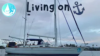 Sailing back to San Diego | Sailing Catalpa II