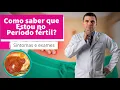 Como Sei que Estou ovulando Aprenda a Identificar o Periodo Fertil