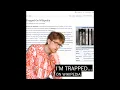 The Gregory Brothers - Trapped On Wikipedia
