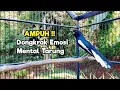 Download Lagu TERAPI KACER GACOR ISIAN ATASI KACER MACET BUNYI LANGSUNG NYAUT BUKOR EMOSI | MENTAL TARUNG