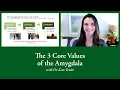 Download Lagu The 3 Core Values of the Amygdala with Dr. Kate Truitt