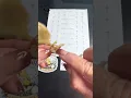 How to Toe-Punch a Chick Easy Safe Fast