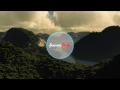 Hollow Coves - The Woods (Ghosts Remix)