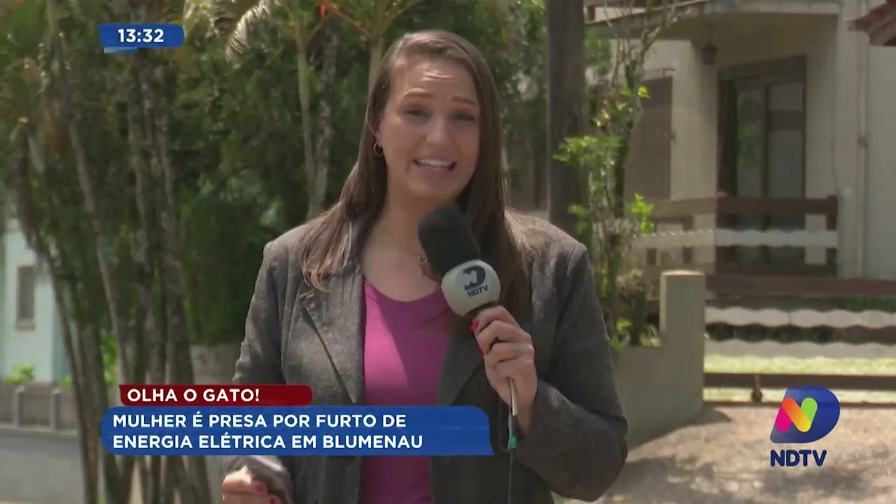 Olha o gato! Mulher é presa por furto de energia elétrica em Blumenau