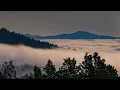 Mrs Jynx - Dusty (Unofficial Video)