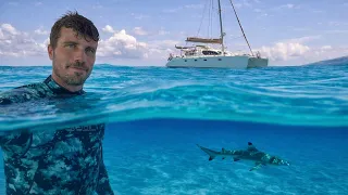 A Voyage through the Tuamotus