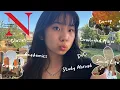 Why I Chose Northeastern University 2026 Senior Edition