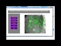 Simple Matlab Projects for Beginners Simple Matlab Thesis for Beginners