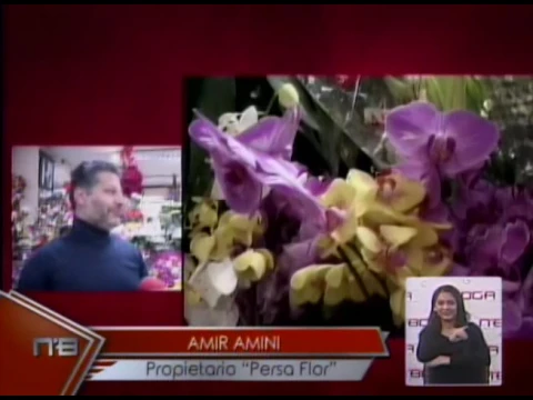 Persa Flor tiene novedades para San Vanlentín