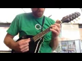 Stash mandolin